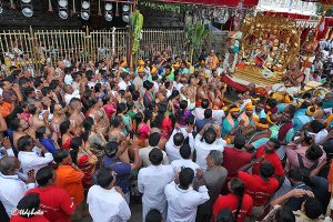 KALPAVRIKSHA VAHANAM6 KALPAVRIKSHA VAHANAM6