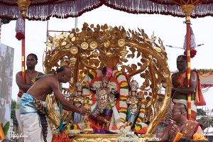 KALPAVRIKSHA VAHANAM_KUMBHA HARATHI KALPAVRIKSHA VAHANAM_KUMBHA HARATHI