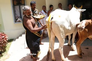 KAREERISTI - VARUNAJAPA-PARJANYA SHANTI YAGAM1 KAREERISTI - VARUNAJAPA-PARJANYA SHANTI YAGAM1