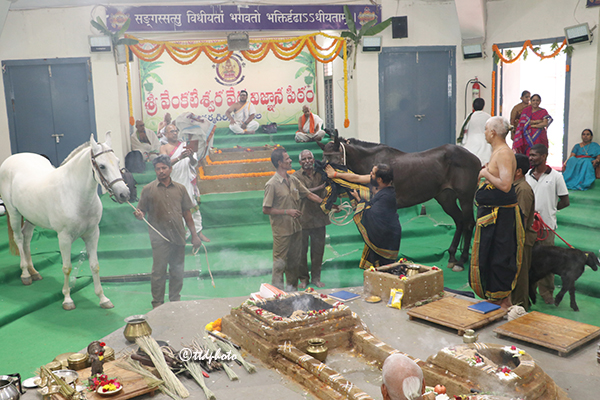 KAREERISTI - VARUNAJAPA-PARJANYA SHANTI YAGAM2 KAREERISTI - VARUNAJAPA-PARJANYA SHANTI YAGAM2