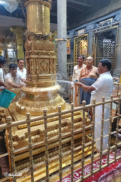 KOIL ALWAR TIRUMANJANAM IN SRI PAT