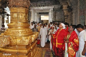 KOIL ALWAR TIRUMANJANAM INSIDE SRIVARI TEMPLE1 KOIL ALWAR TIRUMANJANAM INSIDE SRIVARI TEMPLE1