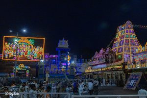 LIGHTNING DECORATIONS IN TIRUMALA2 LIGHTNING DECORATIONS IN TIRUMALA2