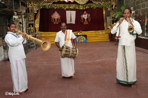 MUSICAL INSTRUMENTS USED SRIVARI TEMPLE3