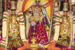 MUTHYAPU PANDIRI VAHANAM8 MUTHYAPU PANDIRI VAHANAM8