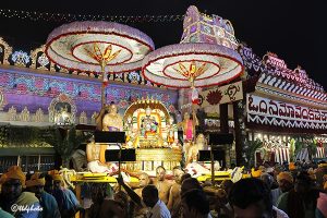 PEDDA SESHA VAHANAM 06