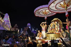 PEDDA SESHA VAHANAM 07