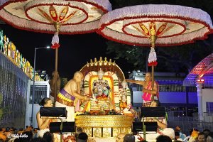 PEDDA SESHA VAHANAM 10