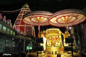 PEDDASESHA VAHANAM IN SRI PAT2