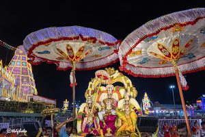PROCESSION OF LORD MALAYAPPA SWAMY2