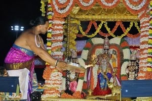 SARVABHOOPALA VAHANAM1