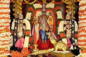 SARVABHOOPALA VAHANAM2
