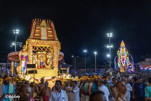 SARVABHOOPALA VAHANAM4