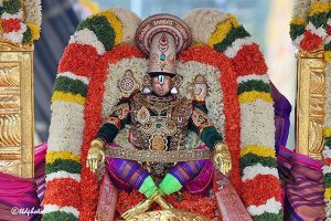 SIMHA VAHANAM10 SIMHA VAHANAM10