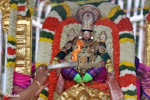 SIMHA VAHANAM11 SIMHA VAHANAM11