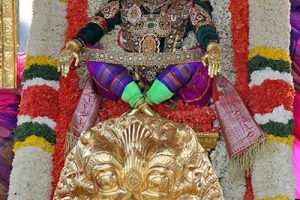 SIMHA VAHANAM9 SIMHA VAHANAM9