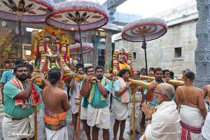 UTLOTSAVAM IN TIRUMALA1