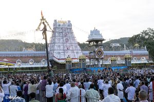 UTLOTSAVAM IN TIRUMALA11 UTLOTSAVAM IN TIRUMALA11