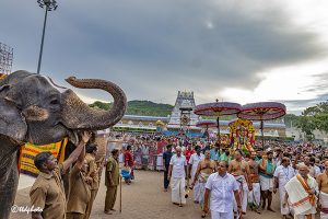 UTLOTSAVAM IN TIRUMALA5