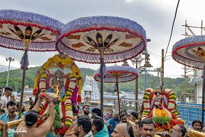 UTLOTSAVAM IN TIRUMALA6