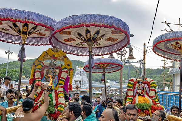 UTLOTSAVAM IN TIRUMALA6