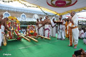 UTLOTSAVAM IN TIRUMALA8 UTLOTSAVAM IN TIRUMALA8