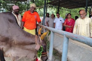 ADDL EO DONATED COWS TO TTD2