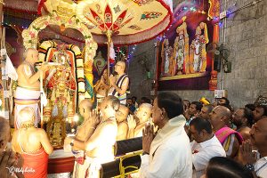 Aswa Vahanam In Tirumala2