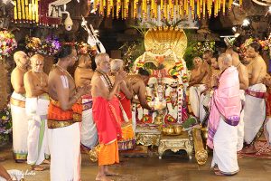 Bangaru Tiruchi Utsavam8