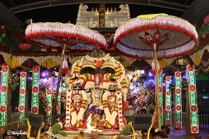 Bangaru Tiruchi Utsavam9