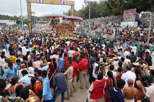 CROWD 1