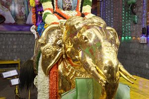 DAY 6_ GAJA VAHANAM DAY 6_ GAJA VAHANAM