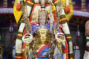 DAY 6_ HANUMANTHA VAHANAM DAY 6_ HANUMANTHA VAHANAM
