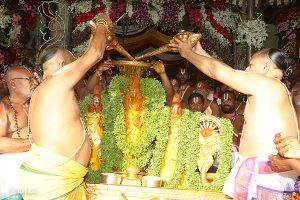 DAY 9_ CHAKRASNANAM2 DAY 9_ CHAKRASNANAM2