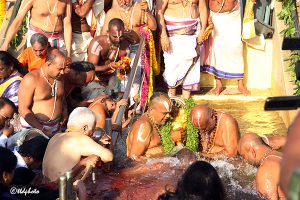 DAY 9_ CHAKRASNANAM4 DAY 9_ CHAKRASNANAM4