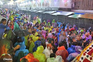 DEVOTEES DEVOTEES