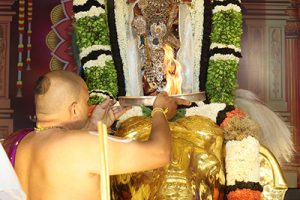 Gaja Vahanam In Tirumala3