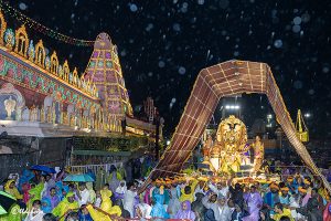 GARUDA VAHANAM10 GARUDA VAHANAM10