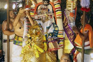 Hamsa Vahanam In Tirumala5