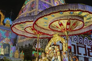 Hamsa Vahanam In Tirumala7