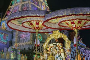 Hamsa Vahanam In Tirumala8