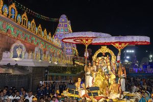HAMSA VAHANAM IN TIRUMALA9 HAMSA VAHANAM IN TIRUMALA9