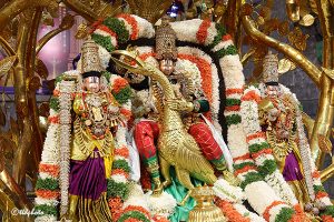 KALPAVRIKSHA VAHANAM IN TIRUMALA KALPAVRIKSHA VAHANAM IN TIRUMALA