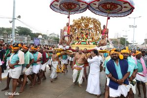 KALPAVRIKSHA VAHANAM IN TIRUMALA10 KALPAVRIKSHA VAHANAM IN TIRUMALA10
