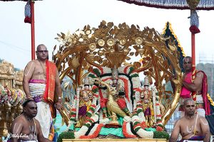 KALPAVRIKSHA VAHANAM IN TIRUMALA12 KALPAVRIKSHA VAHANAM IN TIRUMALA12