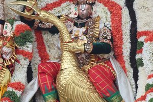 KALPAVRIKSHA VAHANAM IN TIRUMALA14 KALPAVRIKSHA VAHANAM IN TIRUMALA14