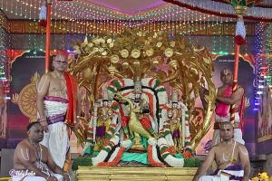 KALPAVRIKSHA VAHANAM IN TIRUMALA2 KALPAVRIKSHA VAHANAM IN TIRUMALA2