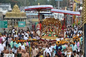KALPAVRIKSHA VAHANAM IN TIRUMALA4 KALPAVRIKSHA VAHANAM IN TIRUMALA4
