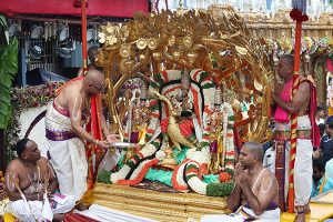 KALPAVRIKSHA VAHANAM IN TIRUMALA5 KALPAVRIKSHA VAHANAM IN TIRUMALA5