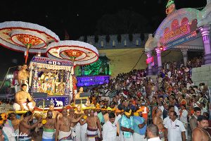 MUTHYAPU PANDIRI VAHANAM IN TIRUMALA10 MUTHYAPU PANDIRI VAHANAM IN TIRUMALA10